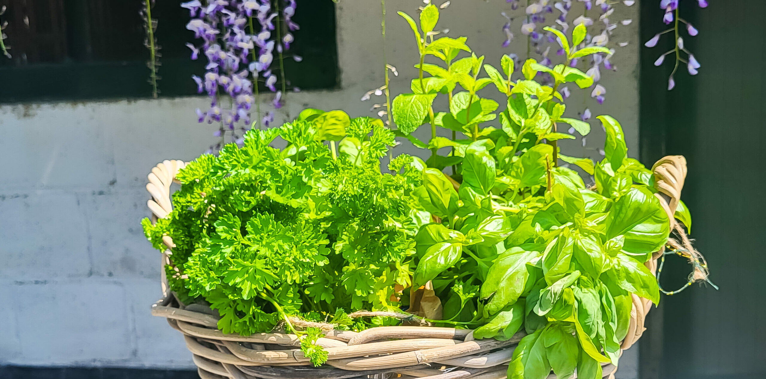 Mand met verse kruiden huren| Tafel Beleving