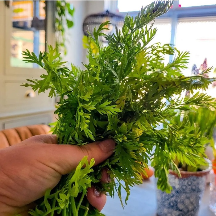 tafeldecoratie, maak gebruik van groen op tafel I Tafel beleving