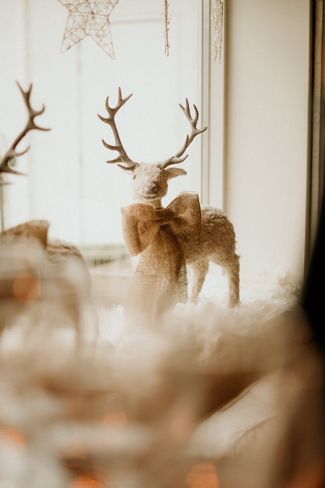 sfeerimpressie decoratie | winter bruiloft | styling en verhuur | design en styling | tafel beleving | Q.Fotografie